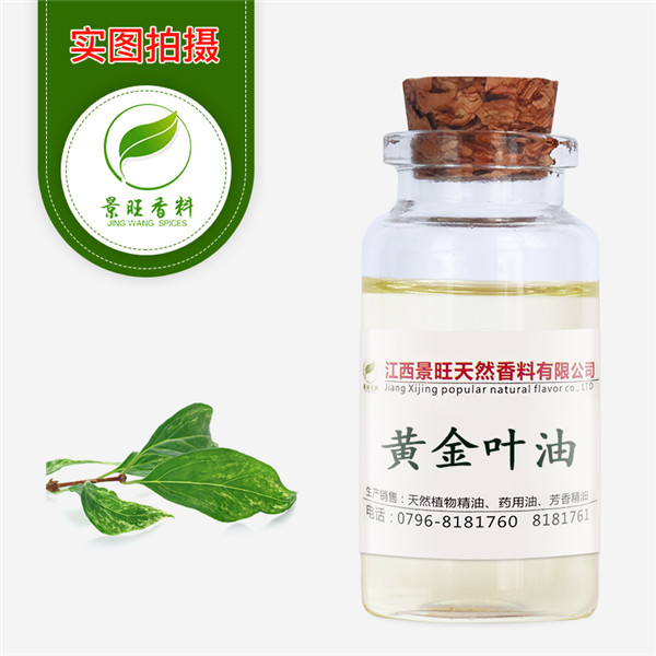 黃金葉油