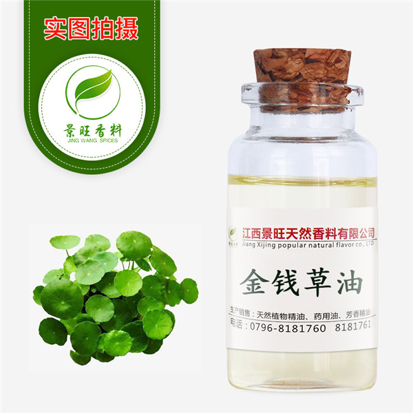 金錢草油